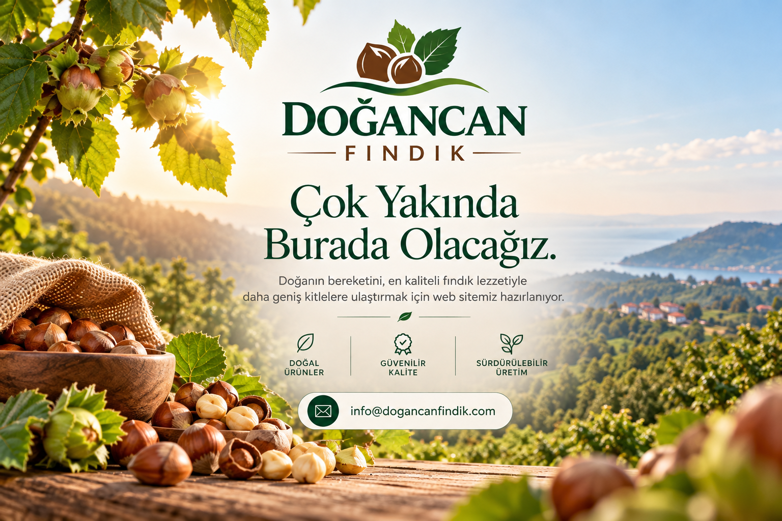 Doğancan Fındık çok yakında sayfası; fındıklar, yeşil yapraklar ve doğal manzara